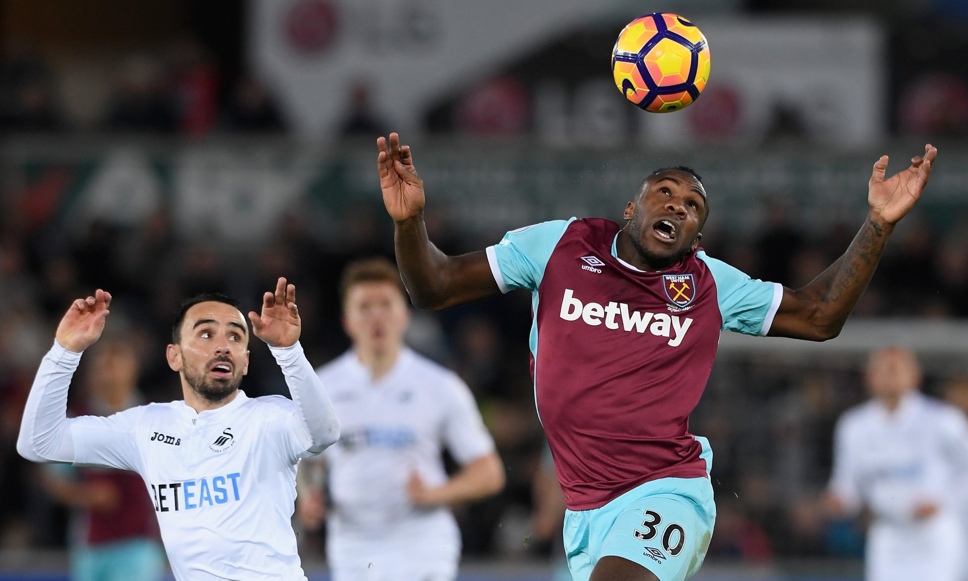 无疑是智慧 无疑是智慧