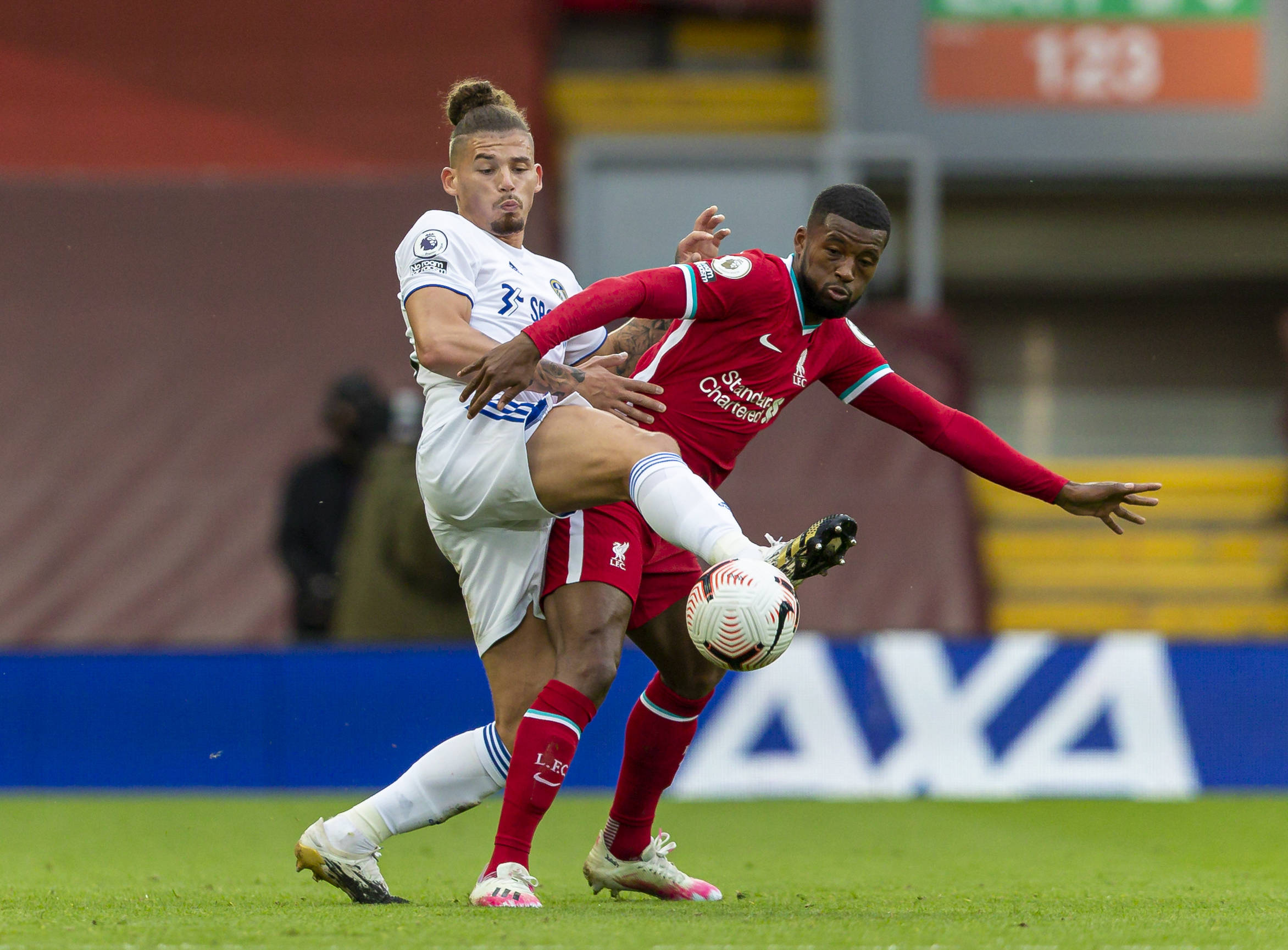 不少球迷都 不少球迷都